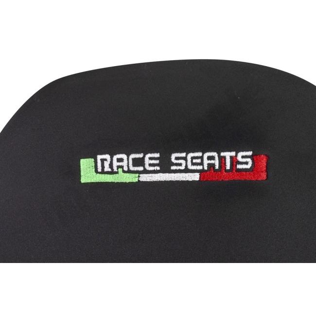 RACESEATS レースシーツ シートASSY コンペティションライン／カーボンシートプレート (シート一式) 1199 PANIGALE 1299 899 959 DUCATI ドゥカティ シート