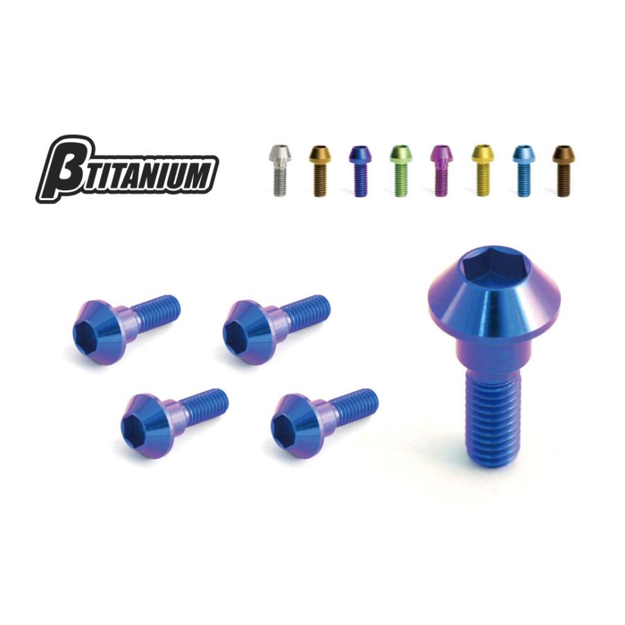 βTITANIUM ベータチタニウム リアブレーキ ディスクローター チタンボルトキット カラー：シルバー(処理無し) KAWASAKI カワサキ ローターボルト ブレーキ | βTITANIUM