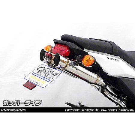 WirusWin（ウイルズウィン） アトミックツインマフラー タイプ