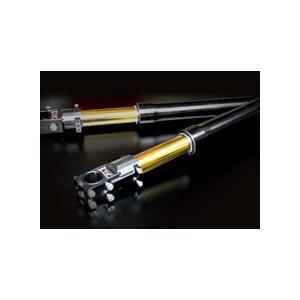 NITRO RACING ナイトロレーシング 倒立 OHLINS E×M PACKAGE [エクスモード・パッケージ] ZRX1200R KAWASAKI カワサキ フロントフォークキット サスペンション | NITRO RACING