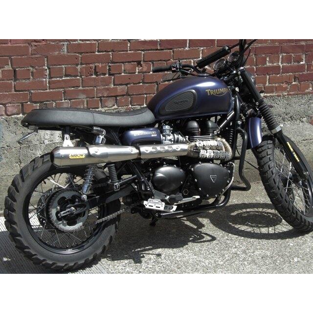 AltRider アルトライダー Rear Brake Master Cylinder Guard カラー：Silver Scrambler TRIUMPH トライアンフ マスターシリンダーガード ブレーキの画像