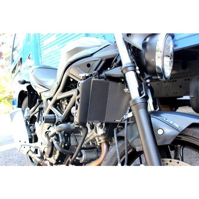 Etching Factory（エッチングファクトリー） ラジエターガード SV650