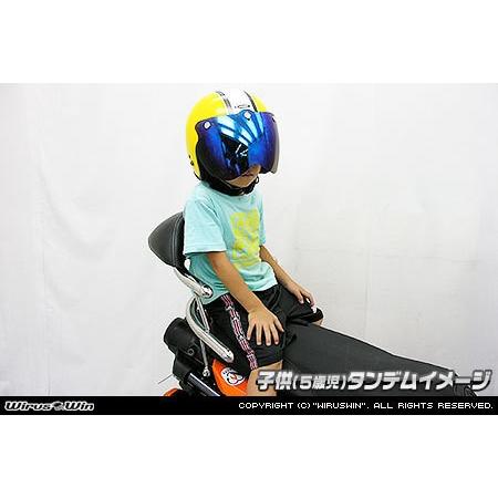 WirusWin ウイルズウィン バックホールドタンデムバー サイズ：スモール / タイプ：ブライアント アドレス125 SUZUKI スズキ 外装