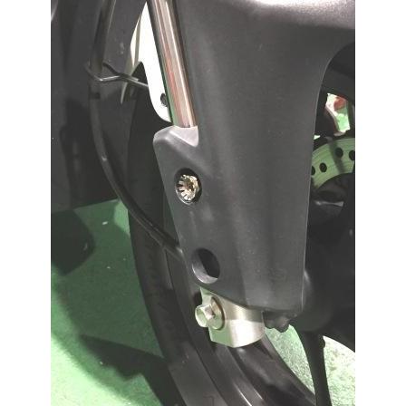 アディオ（ADIO） 除電ボルトナットセット ズーマーX [JF52] HONDA