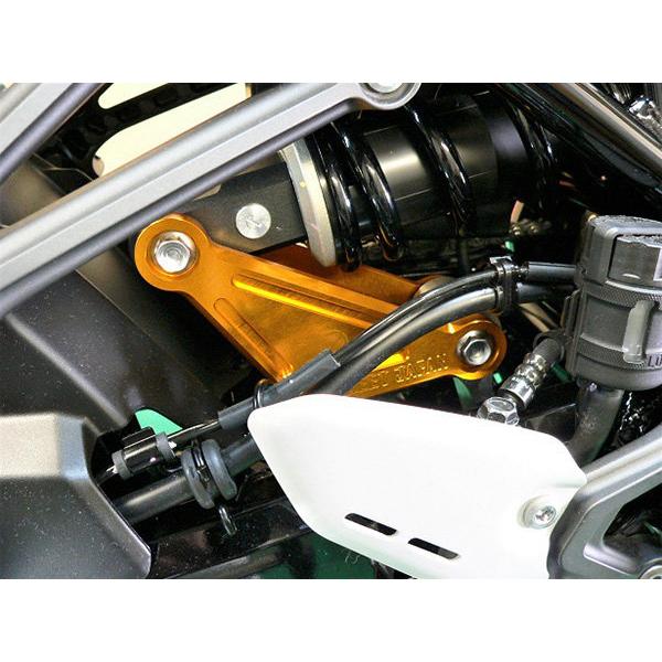 BEET（ビート） サスペンションプレート カラー：シルバー Z900RS