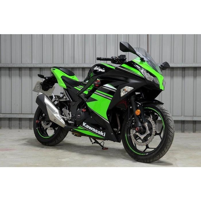 RIDEA リデア フレームスライダー メタリックタイプ カラー：ゴールド ニンジャ250 KAWASAKI カワサキ エンジンスライダー・フレームスライダー フレームの画像