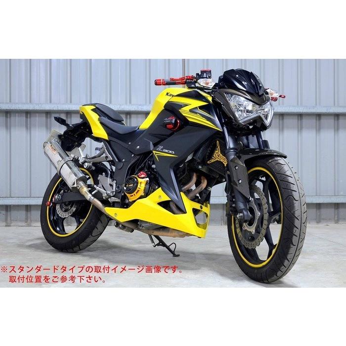 RIDEA リデア フレームスライダー メタリックタイプ カラー：ブラック Z250 KAWASAKI カワサキ エンジンスライダー・フレームスライダー フレームの画像