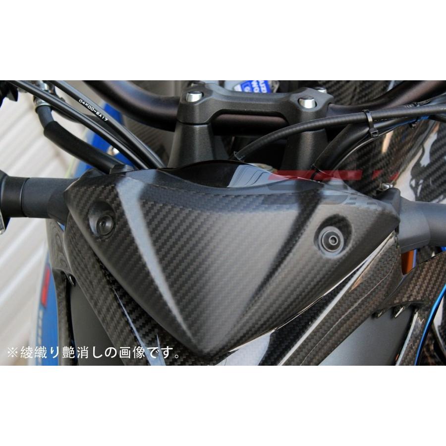 SPEEDRA SPEEDRA:スピードラ SSK メーターバイザー ドライカーボン