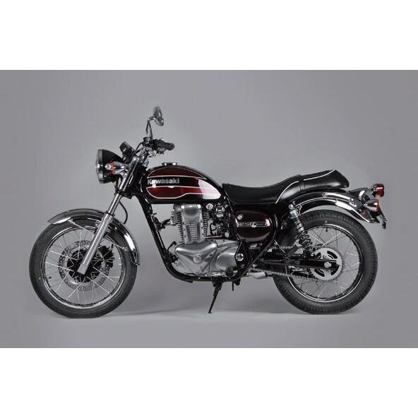 NITRON（ナイトロン） リアサスペンションツインショック TWIN R1