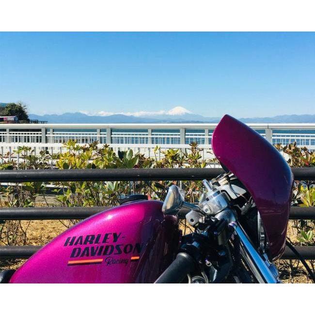 サボテンページ DIO50