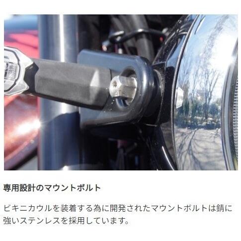 World Walk ワールドウォーク ビキニカウル 【AEROタイプ】 スクリーンカラー：クリア / カラー：キャンディートーンブラウン Z900RS KAWASAKI カワサキ 外装_5