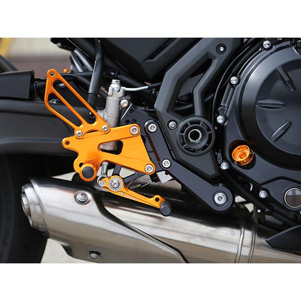 BABYFACE ベビーフェイス バックステップキット カラー：ゴールド Ninja 650 KAWASAKI カワサキ バックステップ ステップ 足回り_1