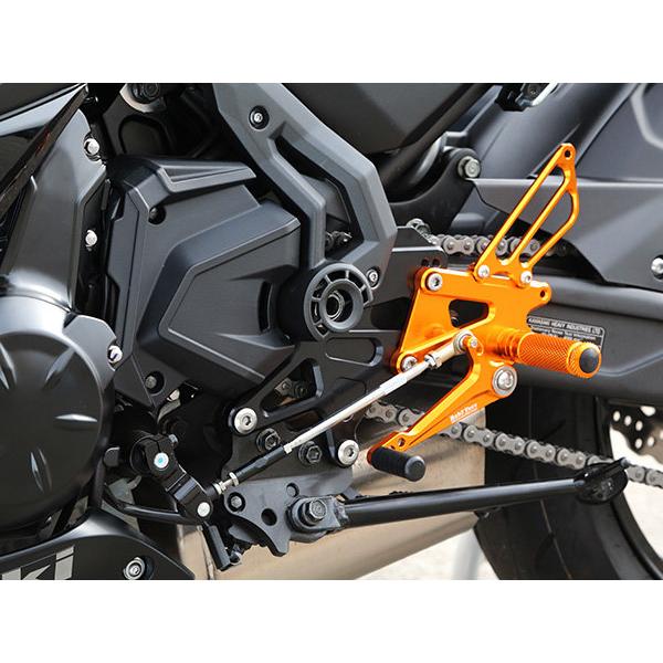 BABYFACE ベビーフェイス バックステップキット カラー：ゴールド Ninja 650 KAWASAKI カワサキ バックステップ ステップ 足回り_2