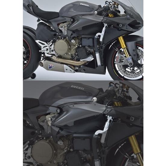de LIGHT（ディライト） レースカウル、レースシートカウルセット 1199