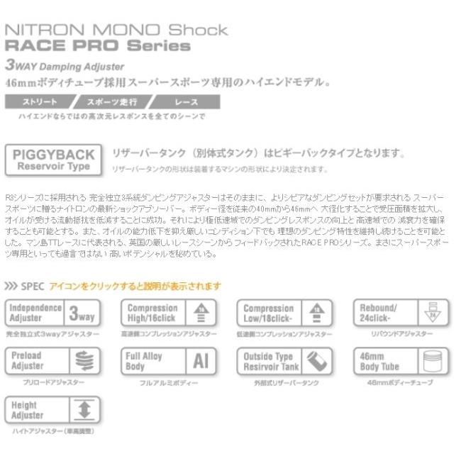 NITRON（ナイトロン） リアサスペンションモノショック NTR RACE (PRO