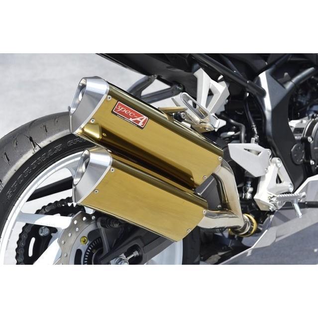 YAMAMOTO RACING（ヤマモトレーシング） SPEC-A SLIP-ON TWIN チタン 2