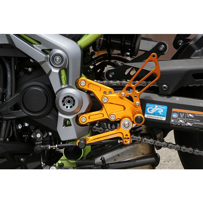 安心価格 Babyface Babyface ベビーフェイス バックステップキット アルマイトカラー ゴールド Z900 17 Kawasaki カワサキ ウェビック1号店 通販 Paypayモール 新品本物購入 Www Drkoegler Tirol