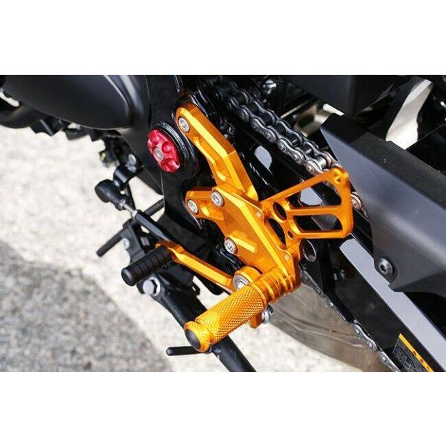 未使用品　ベビーフェイス　バックステップ　カワサキ　Z900RS 未使用品 ベビーフェイス バックステップ カワサキ Z900RS カワサキ