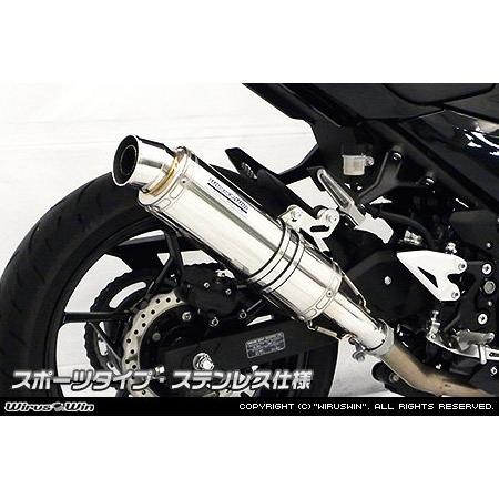 WirusWin（ウイルズウィン） スリップオンマフラー スポーツタイプ