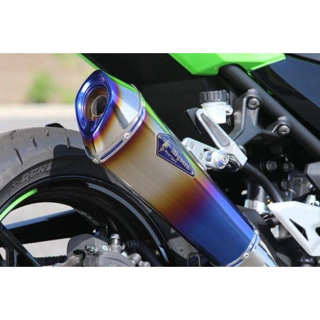 r's gear r's アールズギア ワイバンリアルスペック スリップ