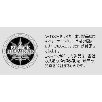 A-TECH（エーテック） ジェネレーターカバー 素材：綾織ドライカーボン