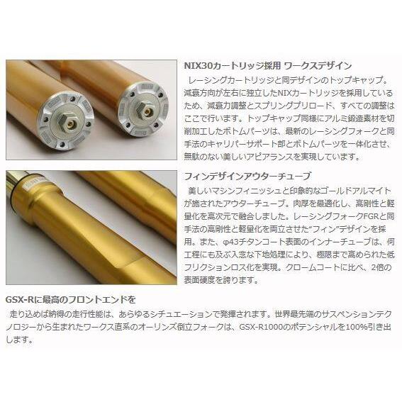 OHLINS（オーリンズ） 倒立フロントフォーク FG R&T 200 GSX-R1000 GSX