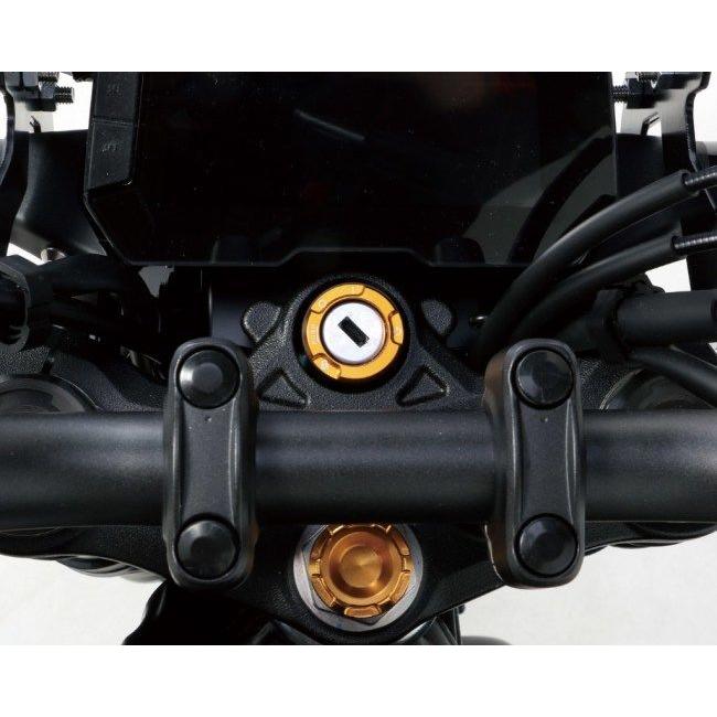 パーツ N M10 ミラーホール カバーキャップ ボルト スノー シルバー 正