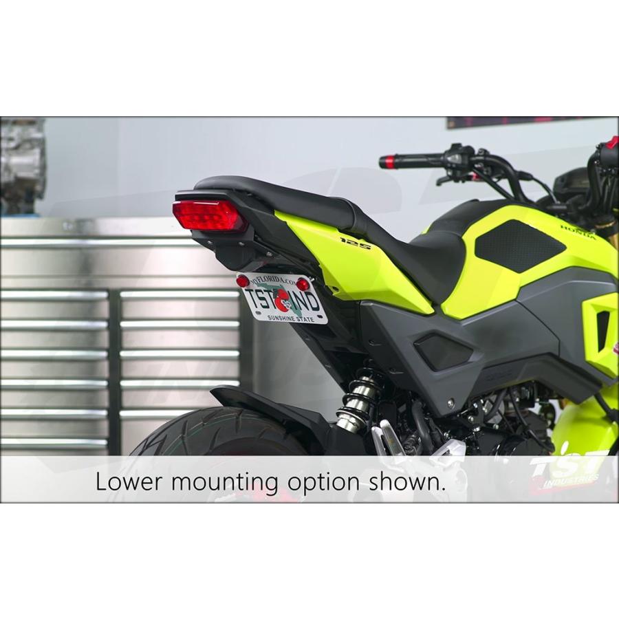 TST ティーエスティー フェンダーレスキット LICENSE PLATE MOUNTING