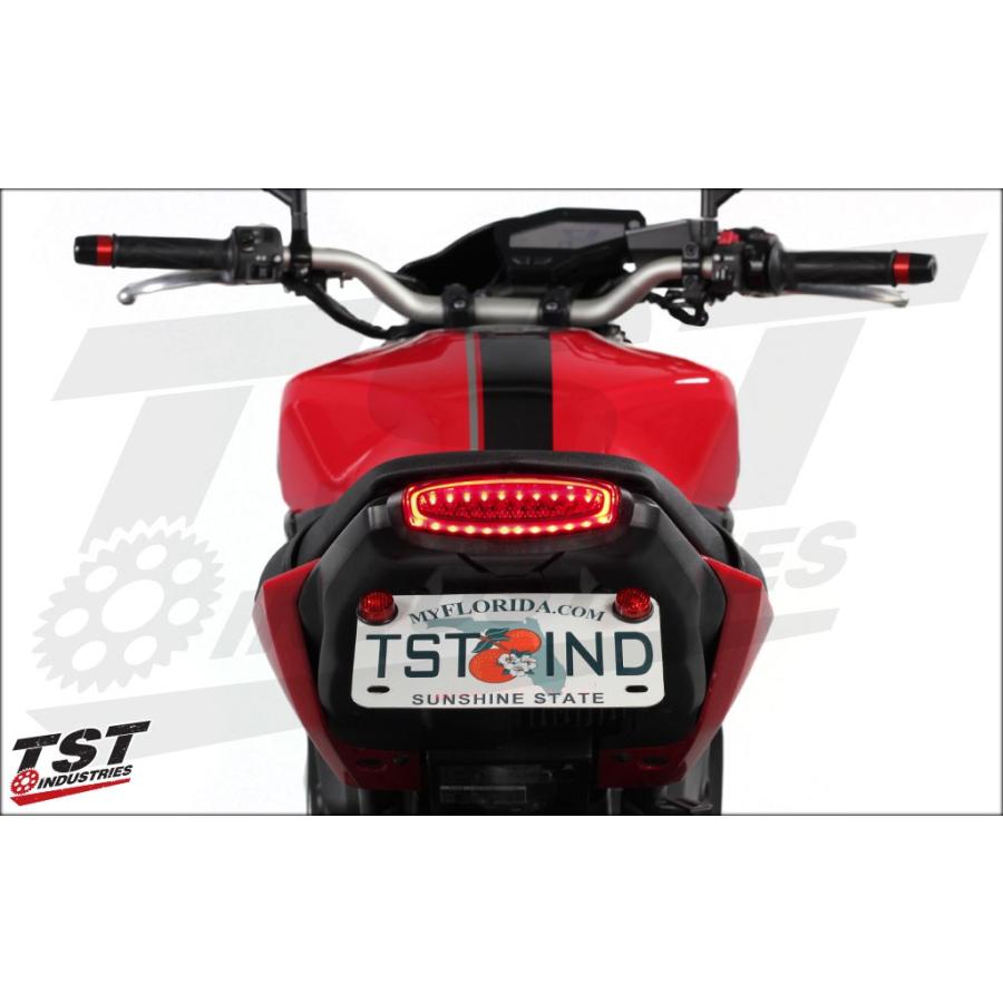 MT-09)TST Industries テールライト&フェンダーレス