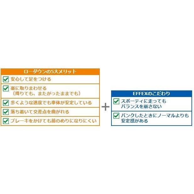 EFFEX エフェックス ローダウンCOMPキット Ninja1000 KAWASAKI カワサキ ローダウンキット サスペンション 足回り | EFFEX | 02