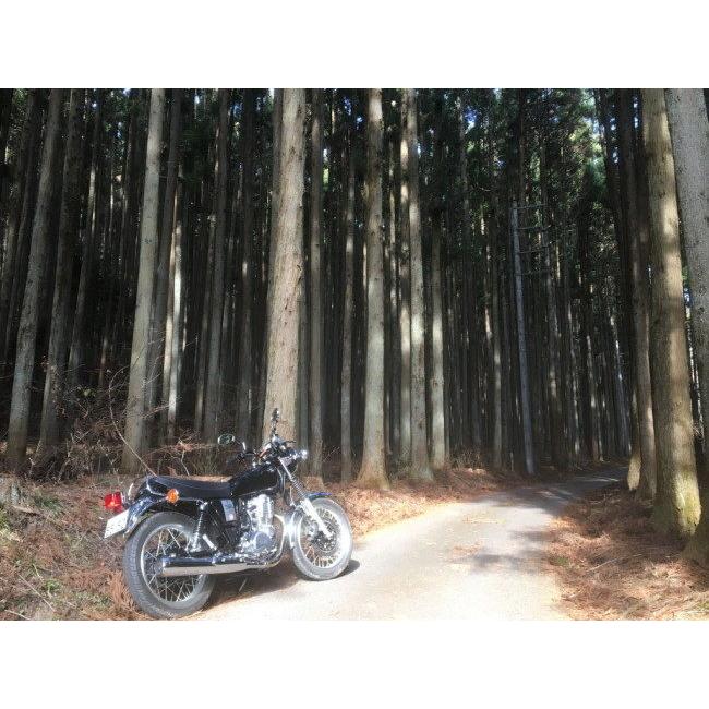 SP忠男 スペシャルパーツ忠男 POWER BOX(パワーボックス