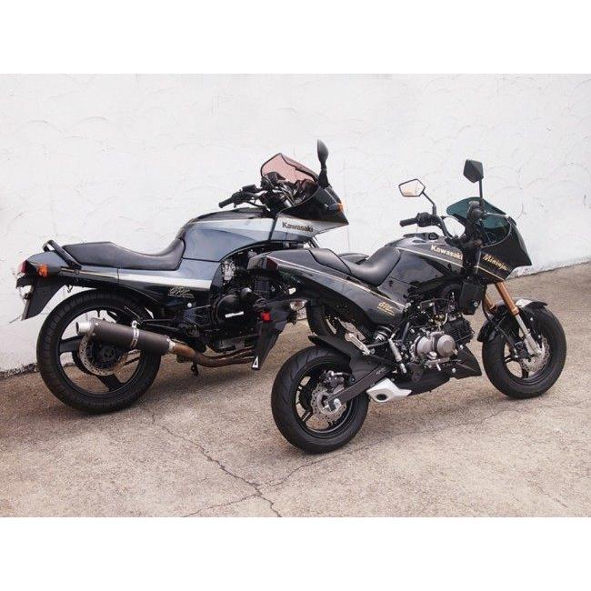 DOREMI COLLECTION（ドレミコレクション） ミニンジャ外装セット Z125