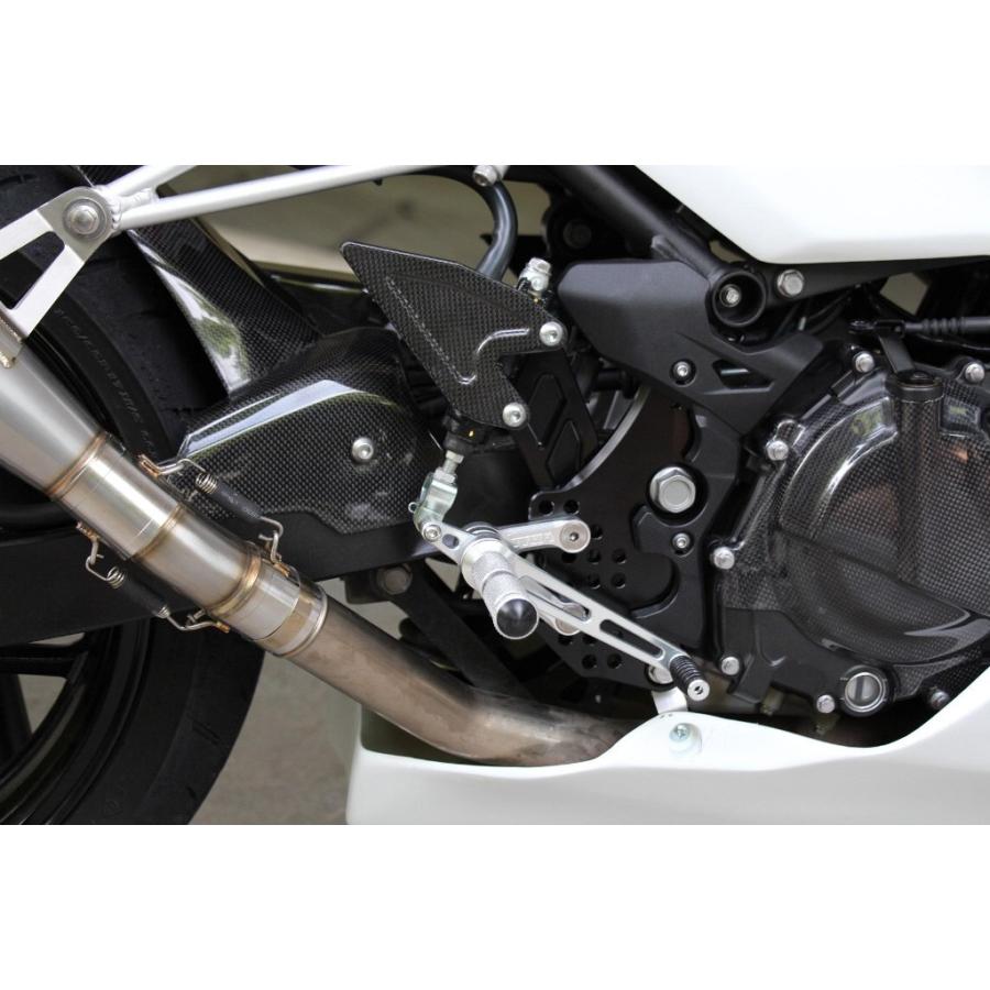 TYGA PERFORMANCE タイガパフォーマンス アジャスタブルタイプレーシングステップキット ニンジャ400 (2014-) KAWASAKI カワサキ バックステップ ステップ