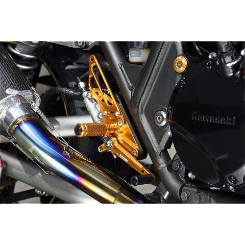 babyface（ベビーフェイス） バックステップ カラー：ゴールド ZRX1200