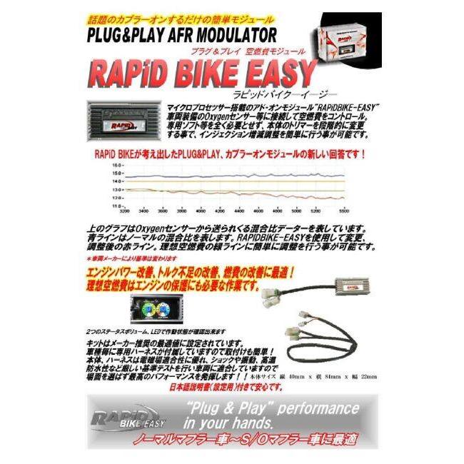 RAPID BIKE ECSY Kawasaki DAEG w800他 ラピッド RAPiD BIKE ラピッドバイク RAPiDBIKE-EASY [ラビッドバイク