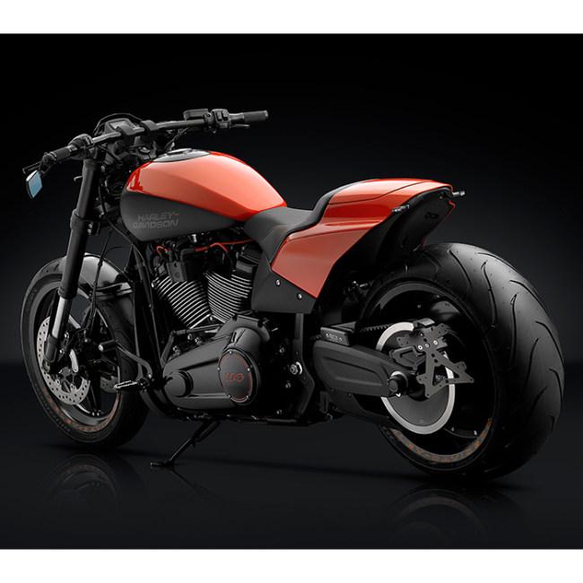 rizoma リゾマ ライセンスプレートサポートキット “サイドアウト” 114 FXDR HARLEY-DAVIDSON ハーレーダビッドソン サイドナンバーキット 外装_2