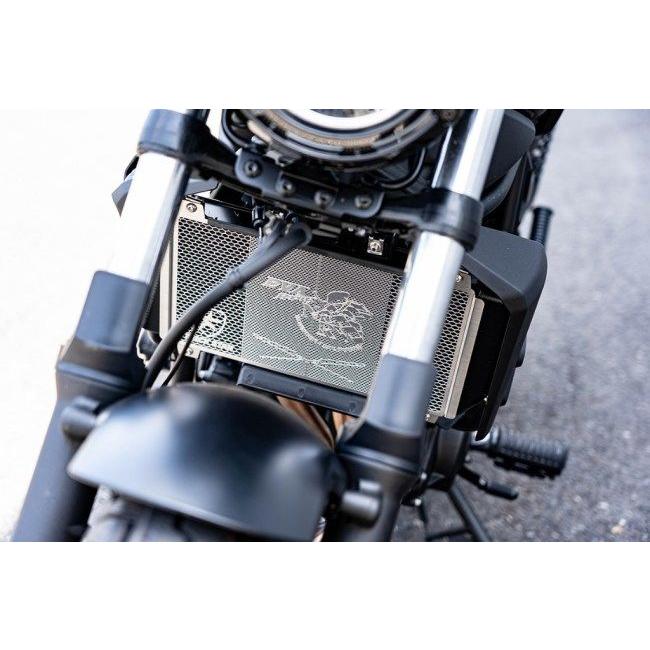 ZRX1200DAEG トリックスター ラジエーターコアガード トリックスター / Kawasaki ZRX1200DAEG(09-16) ラジエターコアガード