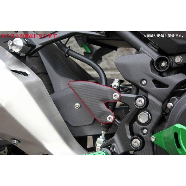 SPEEDRA（スピードラ） ヒールプレート 左右セットドライカーボン