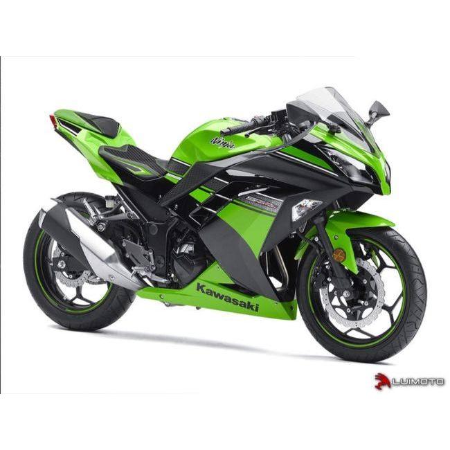 LUIMOTO ルイモト フロントシートカバー カラー：ブルーステッチ／ブルー Ninja250 KAWASAKI カワサキ シートカバー シート関連 外装