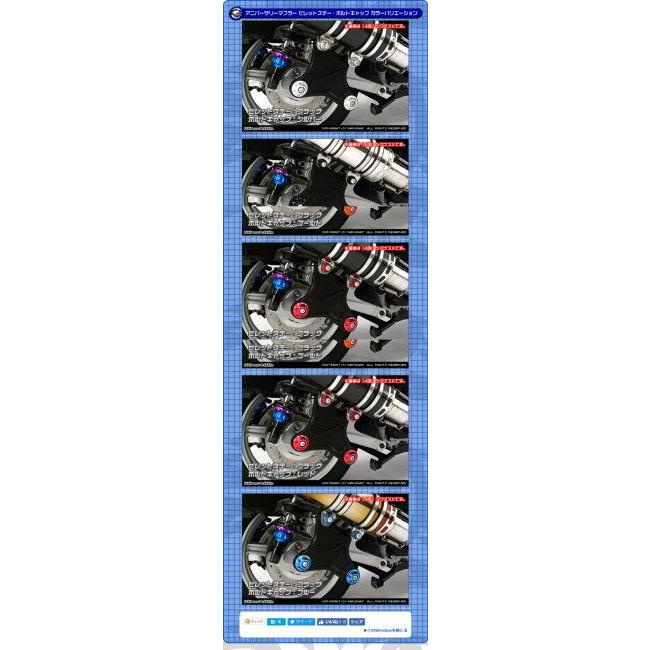 WirusWin ウイルズウィン アニバーサリーマフラー ポッパータイプ シグナスX YAMAHA ヤマハ フルエキゾーストマフラー マフラー_6