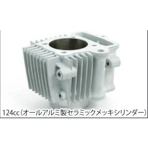 武川シリンダーヘッド106cc SPECIAL PARTS TAKEGAWA / スーパーヘッド4V+R 106ccキット(2点