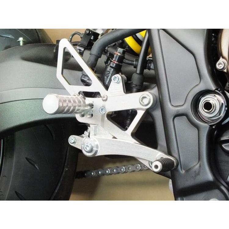 TSR テクニカルスポーツレーシング 4ポジションステップキット カラー