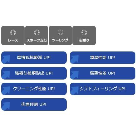 LIQUI MOLY リキモリ Motorbike STREET RACE 2T SYNTH (ストリート