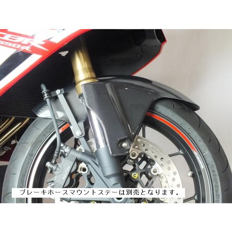 TSR テクニカルスポーツレーシング カーボンフロントフェンダー CB650R