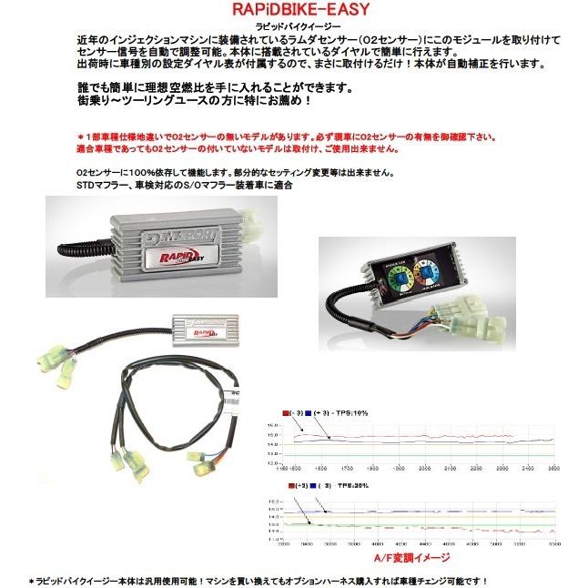 RAPiD BIKE ラピッドバイク RAPiDBIKE-EASY [ラビッドバイクイージー] キット Beverly 300 e4 Liberty 125 150 Medley GTS Super Primavera Sprint  吸気関連 | ラピッド | 02