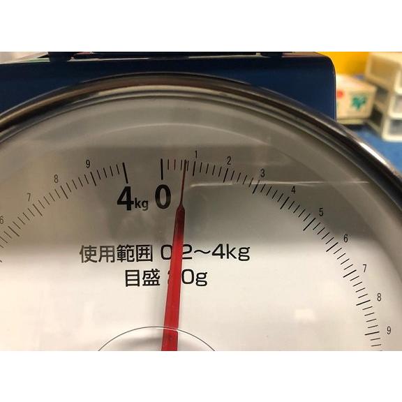 EIGHT(才谷屋) エイト(サイタニヤ) Arai RX-7X用 ディフューザー タイプ：両面テープ無し / カラー：白ゲル その他ヘルメットオプション・補修部品 ヘルメット | ブランド登録なし | 02