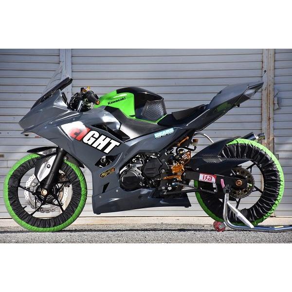 才谷屋 サイタニヤ リアフェンダー カラー：黒ゲル Ninja250 Ninja400 Z400 KAWASAKI カワサキ KAWASAKI カワサキ KAWASAKI カワサキ｜webike｜04