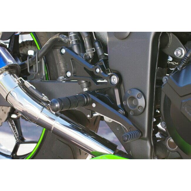 WR’S ダブルアールズ バトルステップ 1ポジションタイプ カラー：ブラックアルマイト Ninja250R Ninja250 Z250 KAWASAKI カワサキ バックステップ ステップ_3
