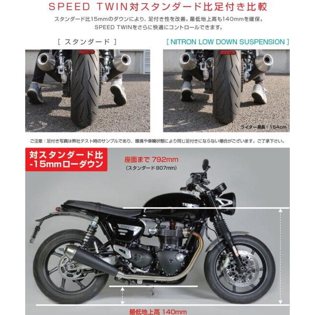 NITRON（ナイトロン） リアサスペンションツインショック TWIN R1