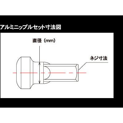 Z-WHEEL ズィーウィール ニップルセット サイズ：直径：7.1mm／ネジ